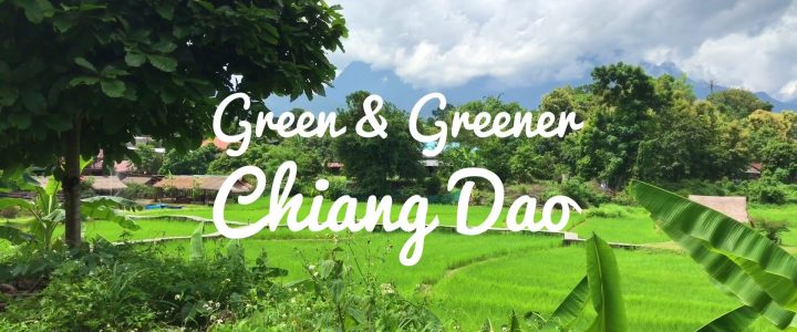 Green and Greener Chiang Dao